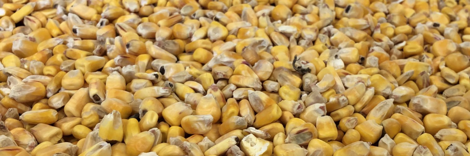 DylanBeaver66's profile banner image