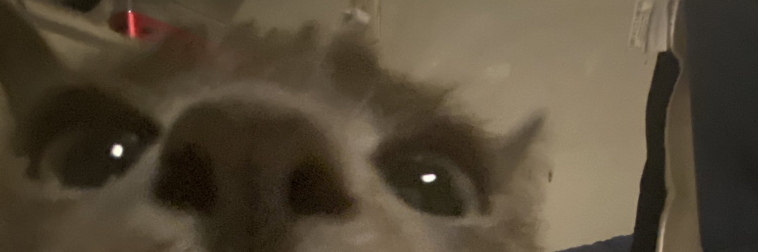 penguigi's profile banner image