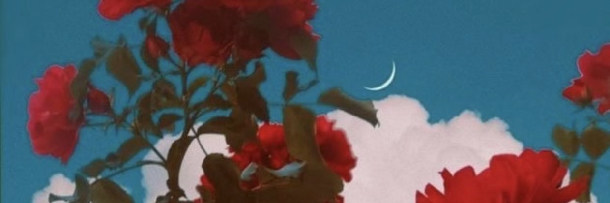 Ryan T banner