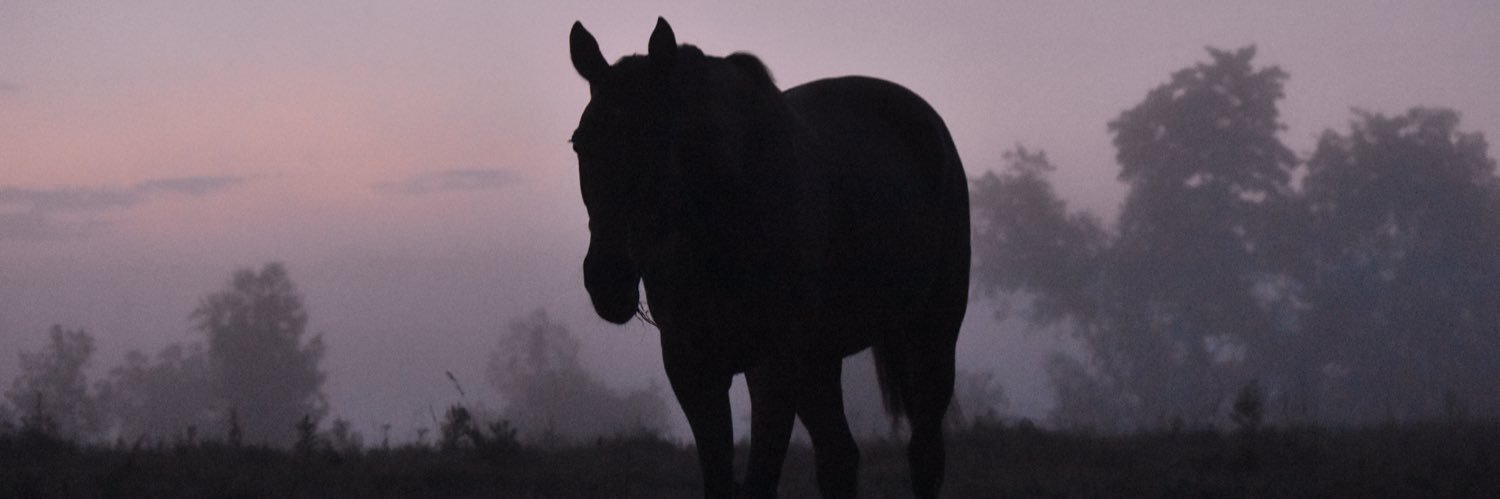 mysignaturem0ve's profile banner image