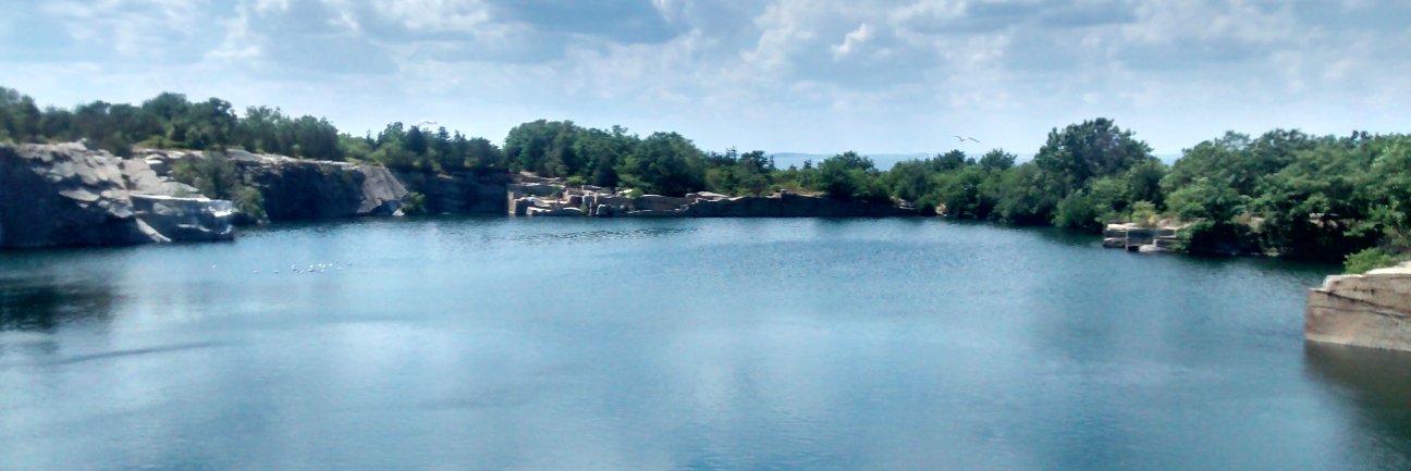 sarabearcheng's profile banner image