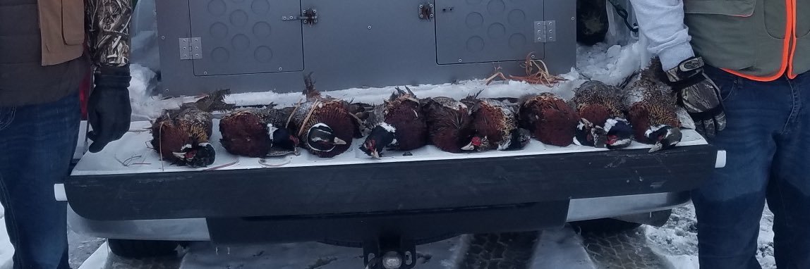 C_Shep30's profile banner image