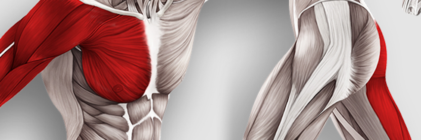 playerspi's profile banner image