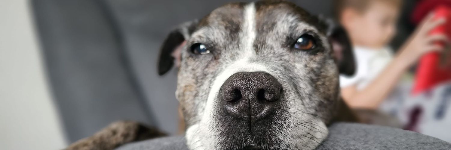 Ladyjayne81's profile banner image