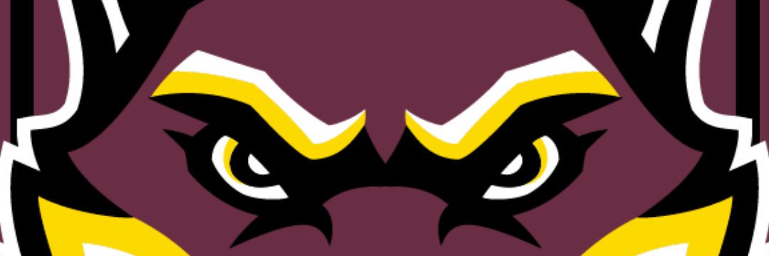 LHSD_WOLVES's profile banner image