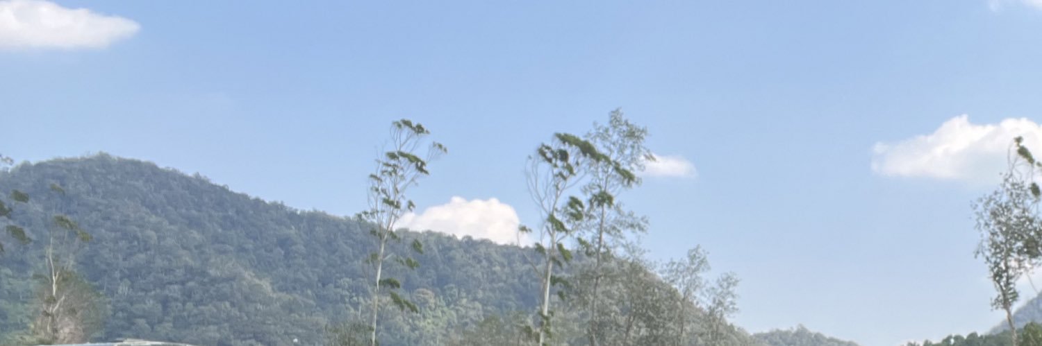 alliswellokay's profile banner image
