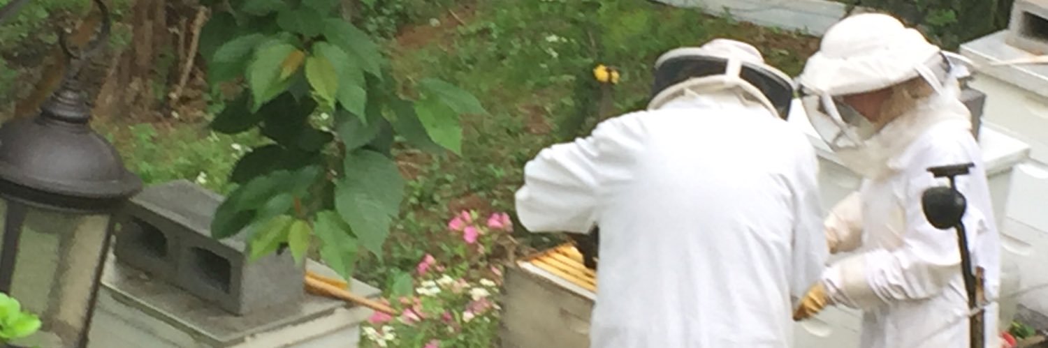 🌎Wεŋđσℓγŋ🐝 banner