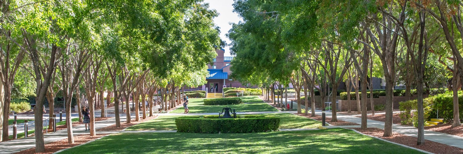 The Meadows School banner