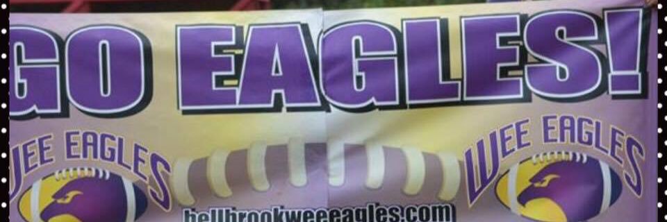 WeeEagles's profile banner image