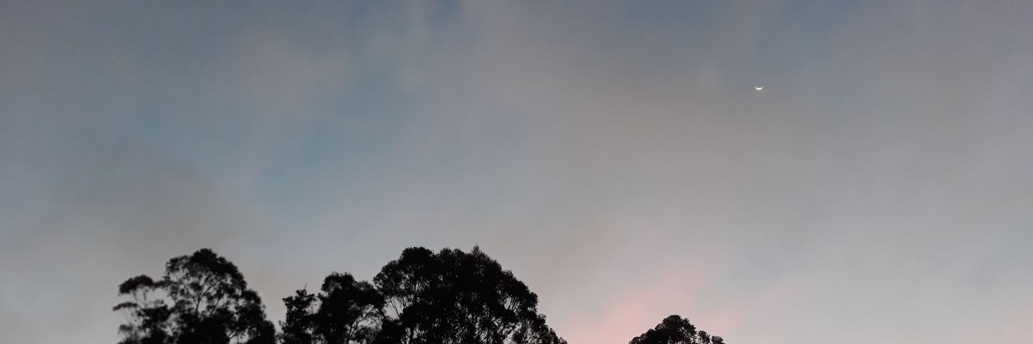 ViCkY_velc's profile banner image