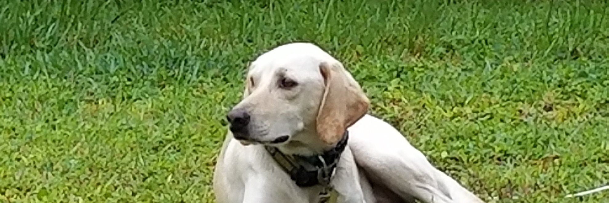 newsguynorm's profile banner image
