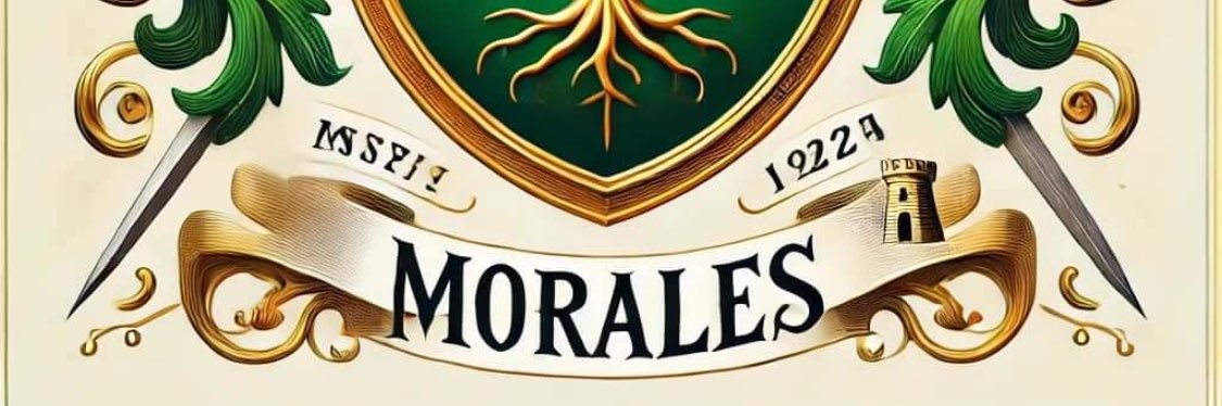 LFMoralesA's profile banner image