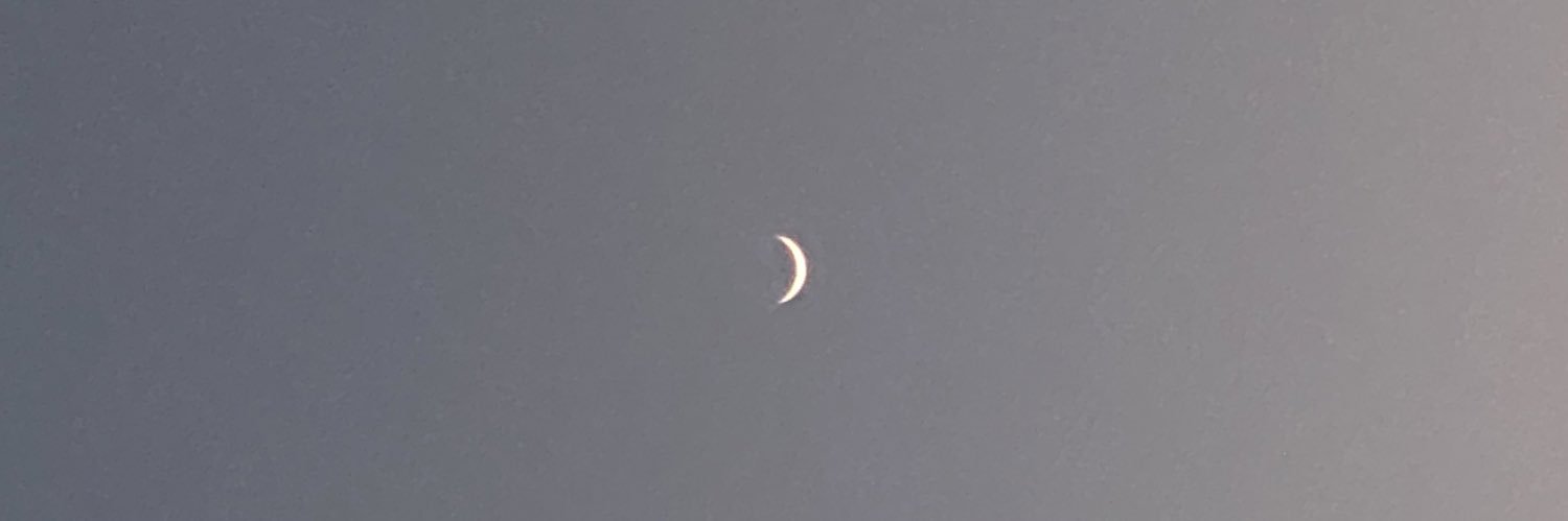 zaraugartechea's profile banner image