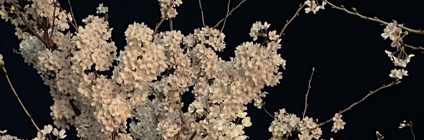 hakubi435's profile banner image