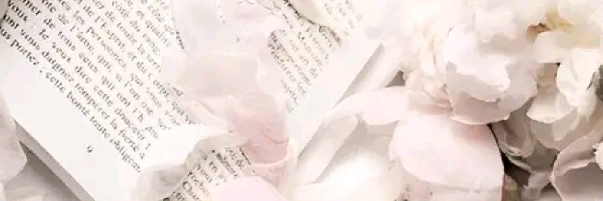 aneilei's profile banner image