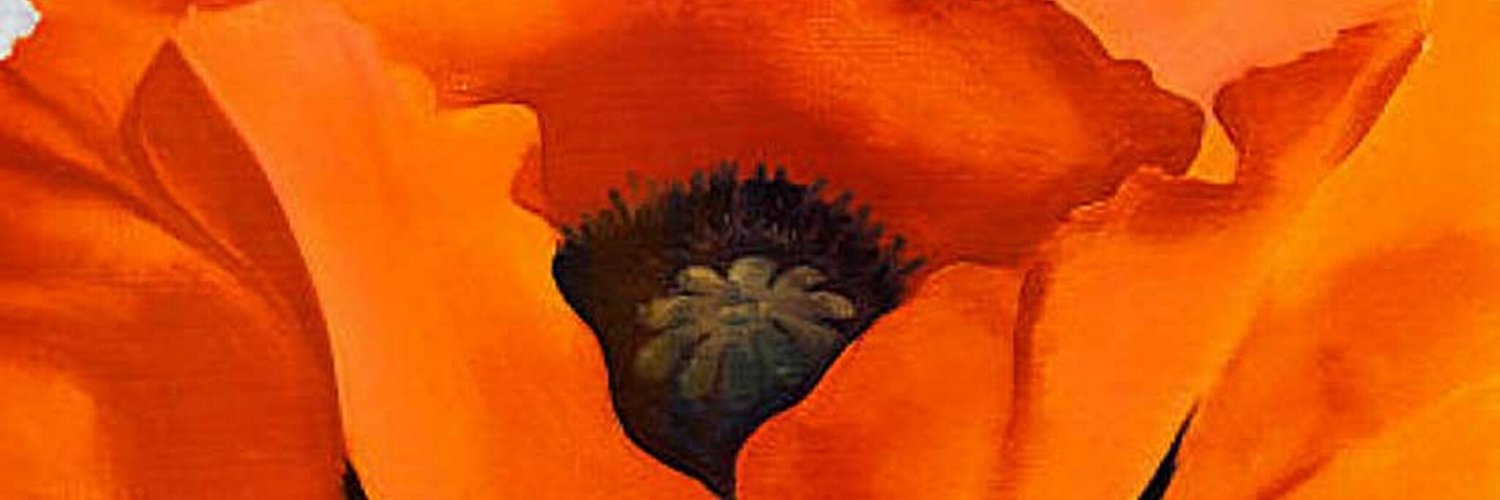dianablock101's profile banner image