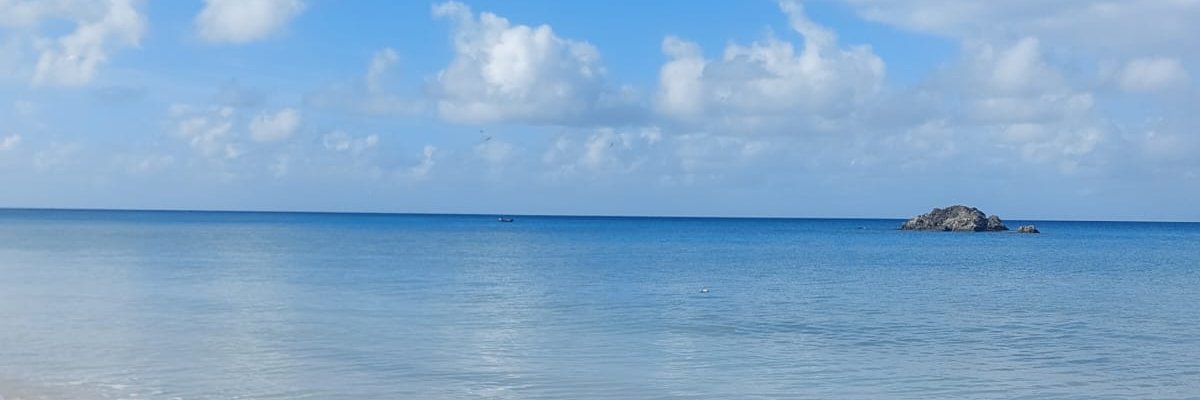 Daniel Escobar banner