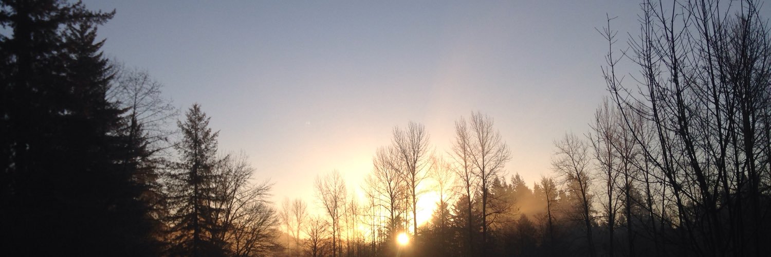 jacobobonobo's profile banner image