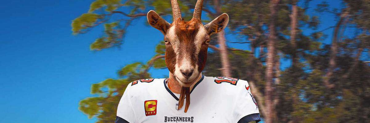 alecsnell_'s profile banner image