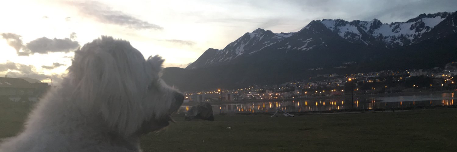Agosti12's profile banner image