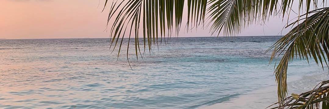 Amandine_Lmr's profile banner image