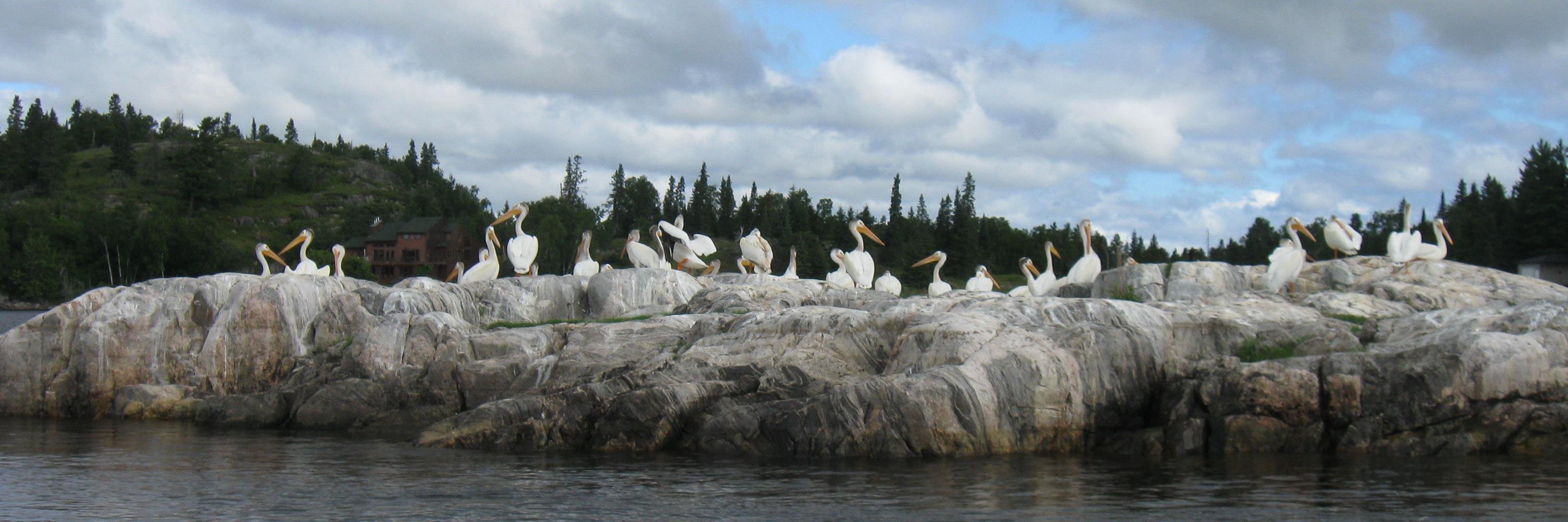 SueKorba's profile banner image