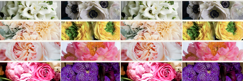 stemzflowers's profile banner image