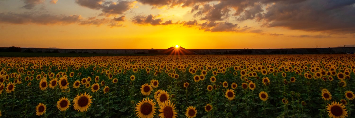 a0925m0107's profile banner image
