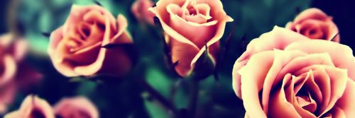 eka0385's profile banner image