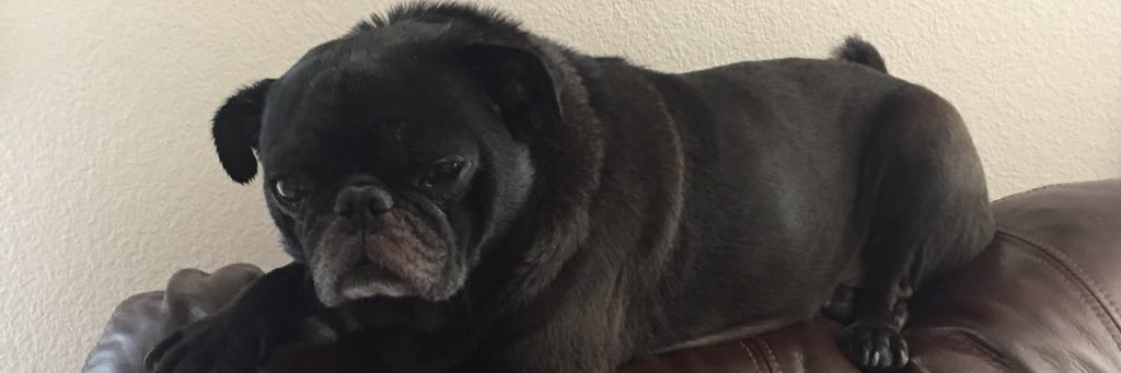 gdice902's profile banner image