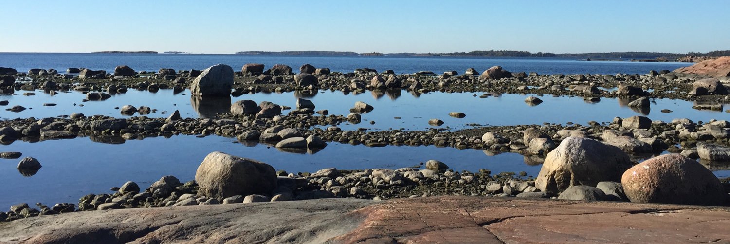 ldamakkonen's profile banner image