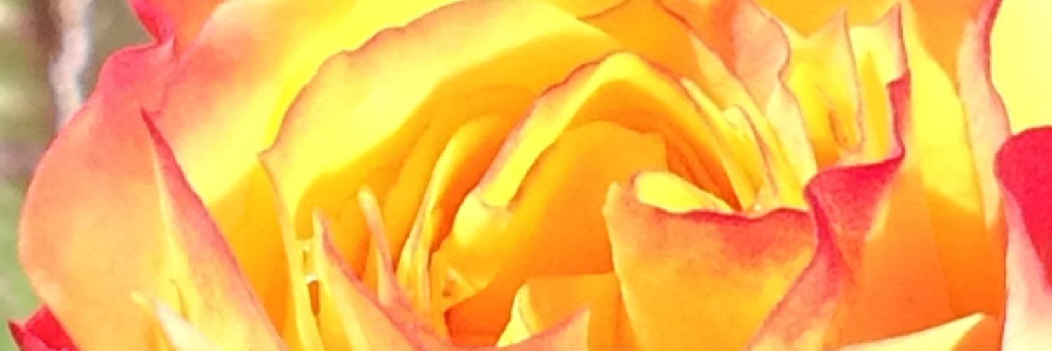 CER3NE's profile banner image