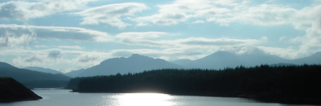 SilvertreeJamie's profile banner image