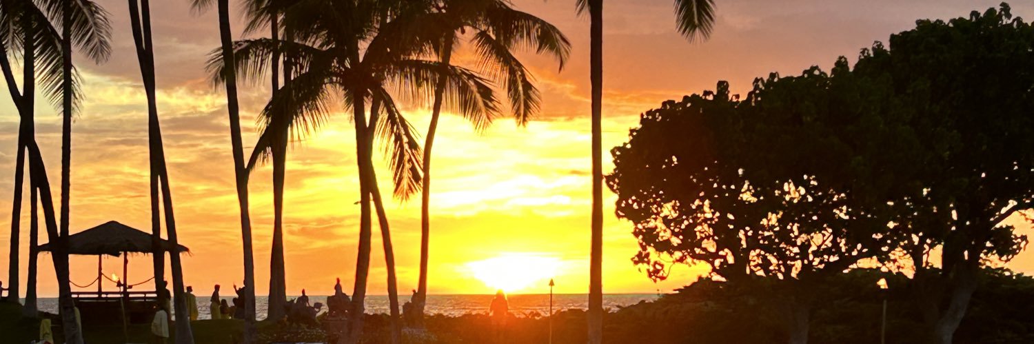 Alison Valier banner