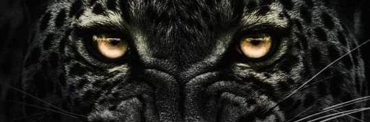 _2KIID's profile banner image