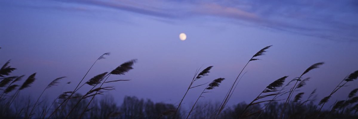 أم نورة banner