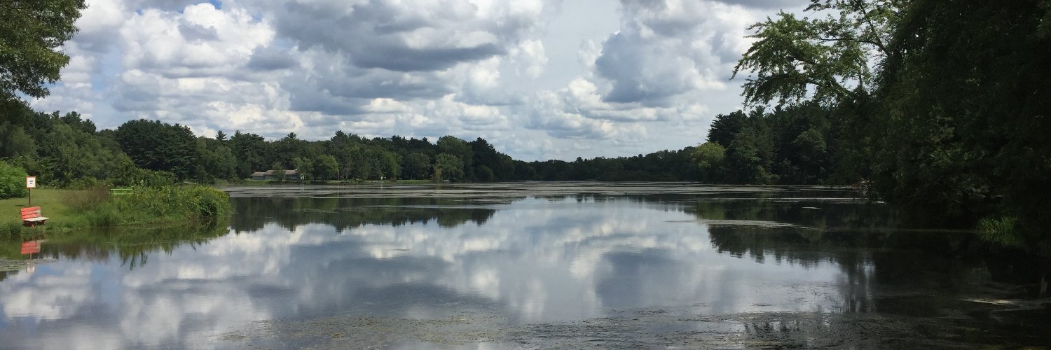 TC Currie Pro-Abortion her/she😷🦉 banner