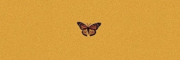 celia_galind's profile banner image