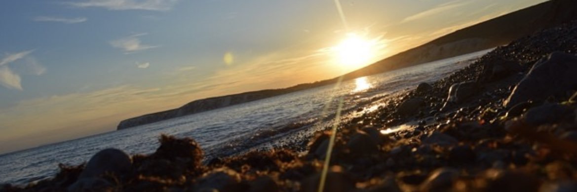 Sophie Robinson banner