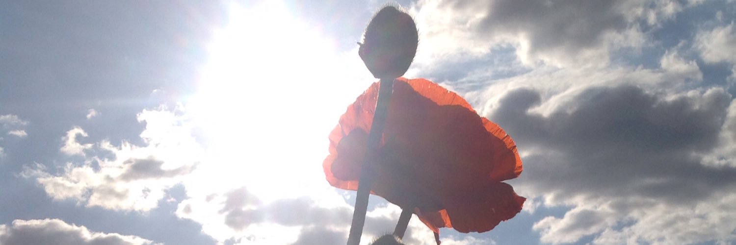 k8k473's profile banner image