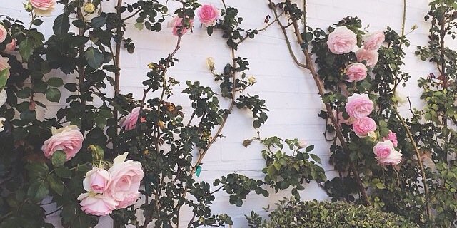 sorryimastooch's profile banner image