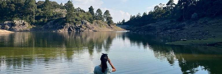 FlorXimena3's profile banner image