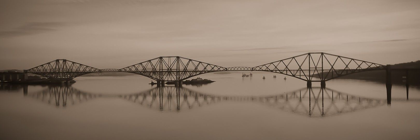 fionaboyle46's profile banner image