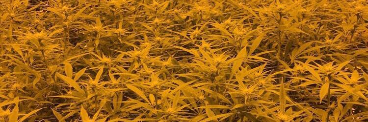 kyleandywright's profile banner image