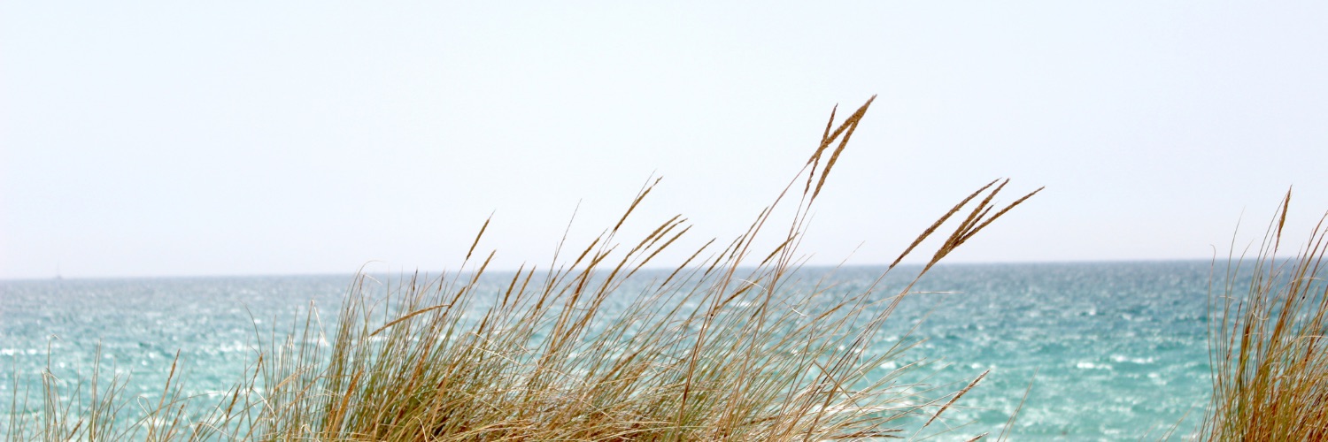 EdelSakwa's profile banner image