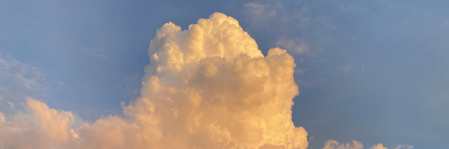 traciedawson's profile banner image