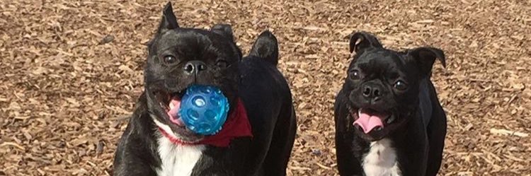 nixonthebugg's profile banner image