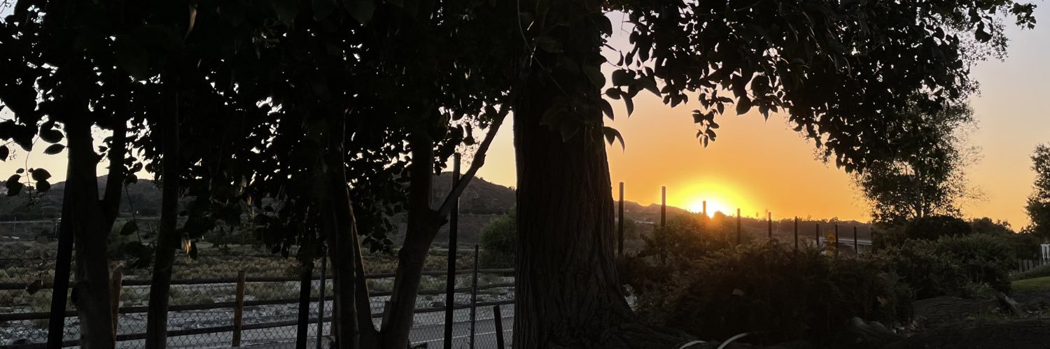 nessababbeyy's profile banner image