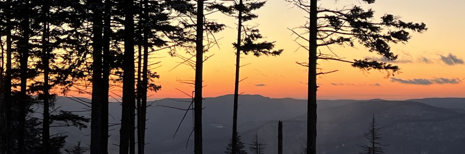 JDizzzle21's profile banner image
