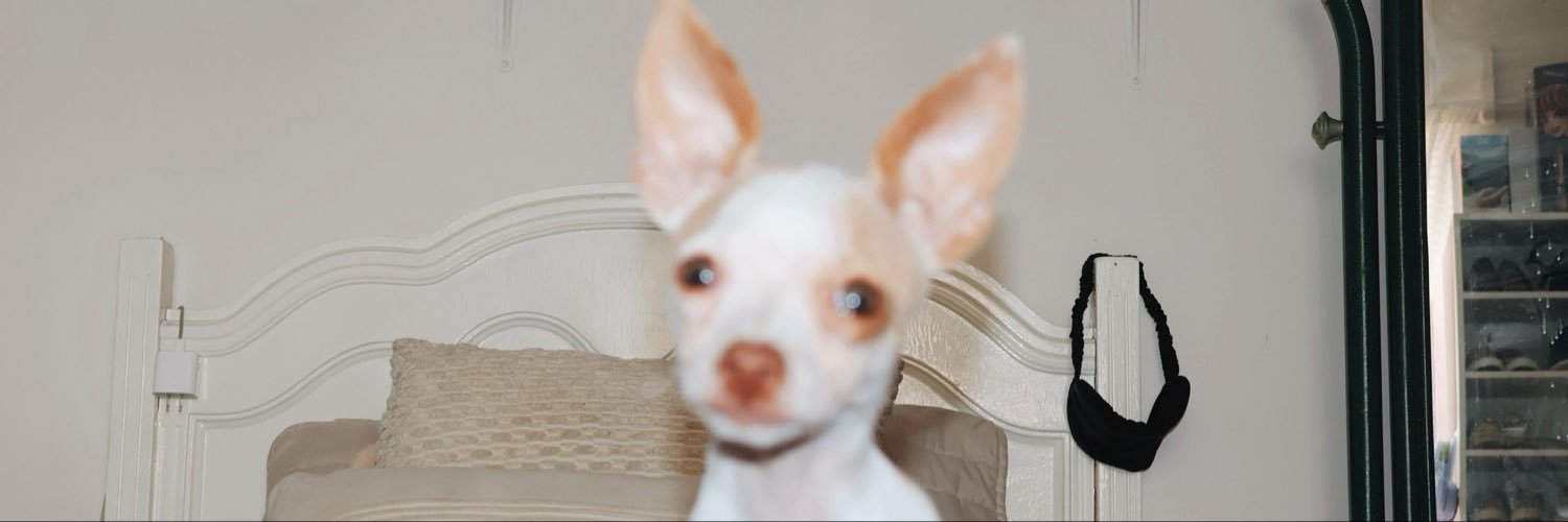 denissfaz's profile banner image